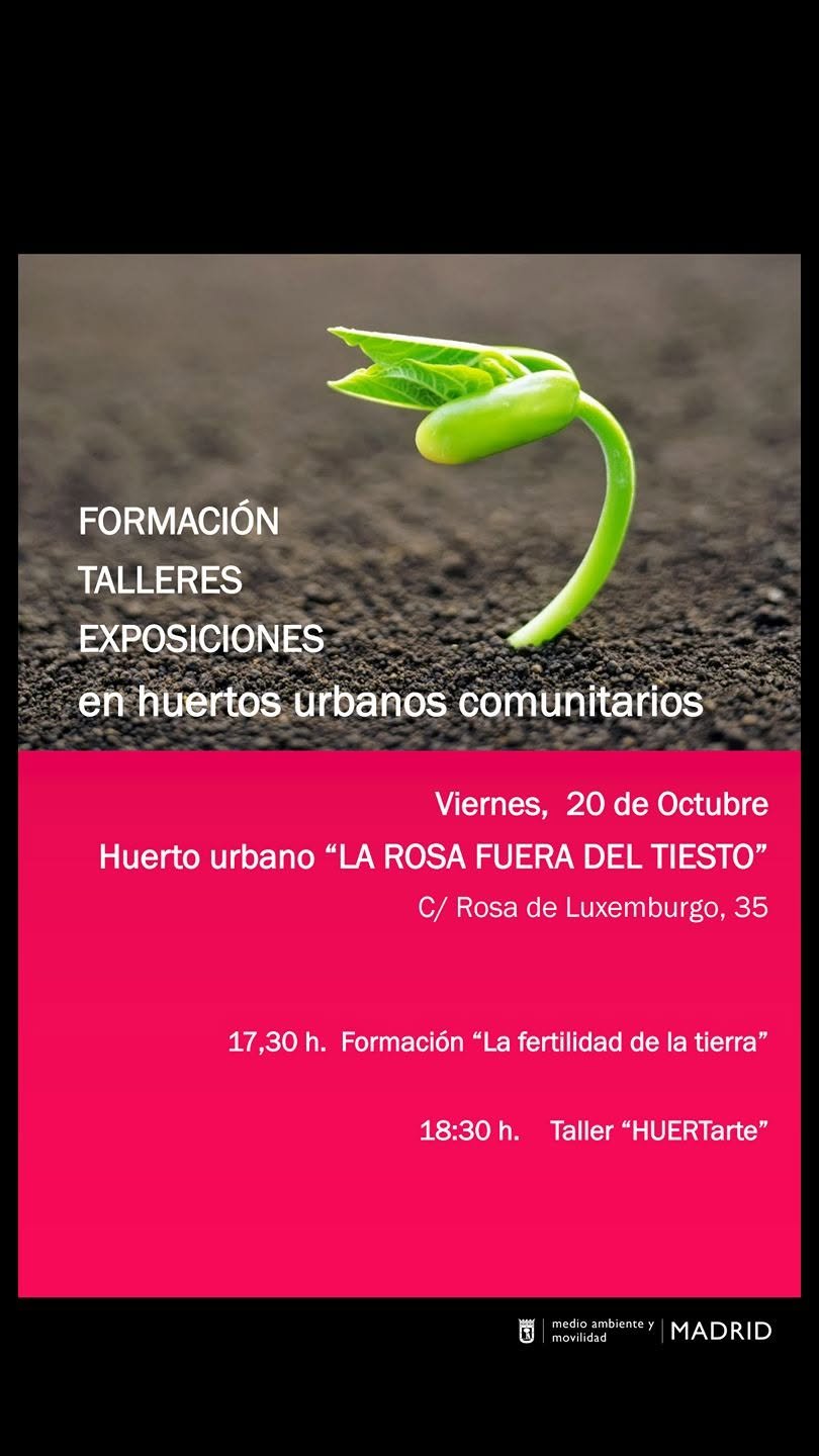 Formación y talleres en el huerto