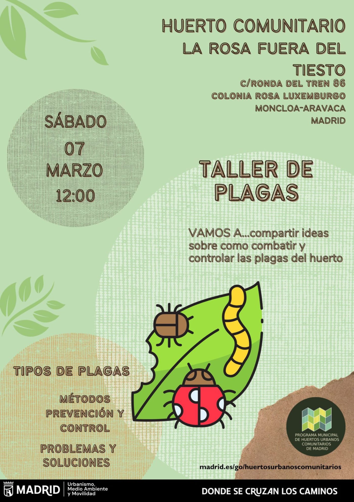 Taller de plagas
