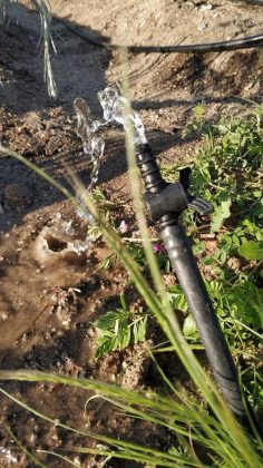 Hortelanos de la Rosa Poniendo a punto la instalación de riego