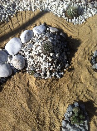 Hace dos semanas plantamos varias cositas en el huerto, entre ellas un…