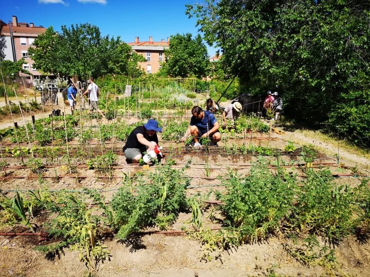 La agricultura es el arte de saber esperar