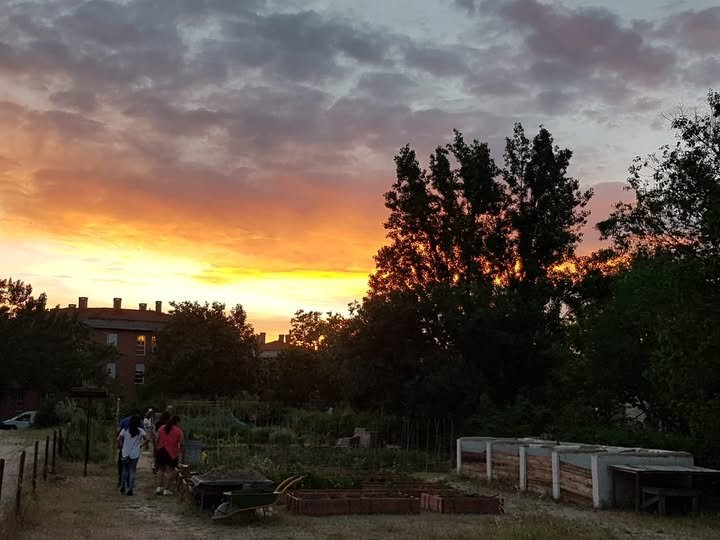 Atardecer en la huerta