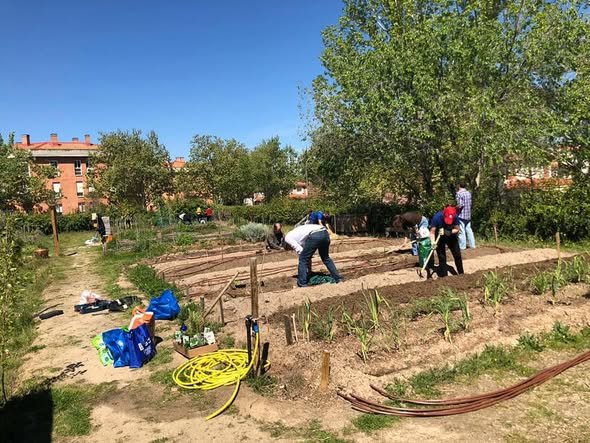Los hortelanos ponen a punto el riego